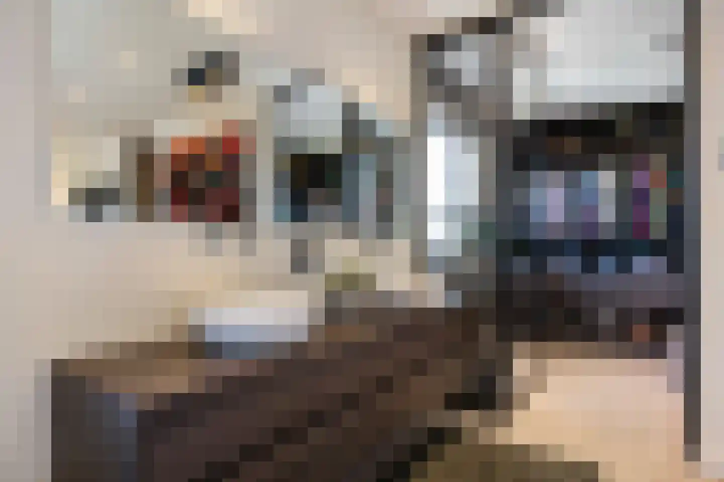 Wijnstraat 10 J Echt thumbnail 35