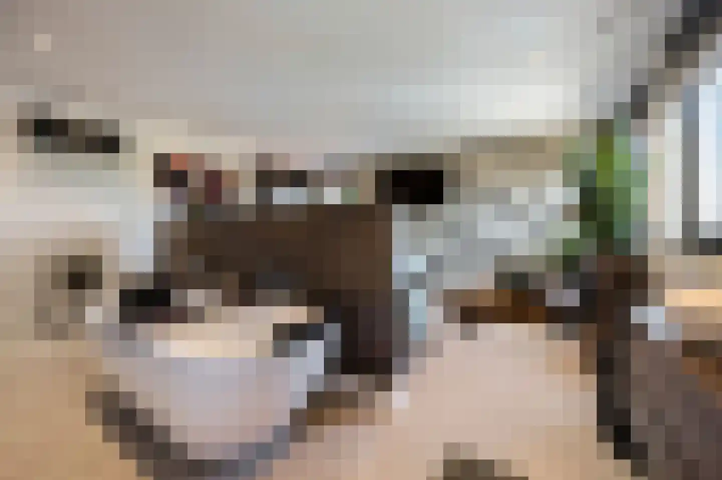 Wijnstraat 10 J Echt thumbnail 36