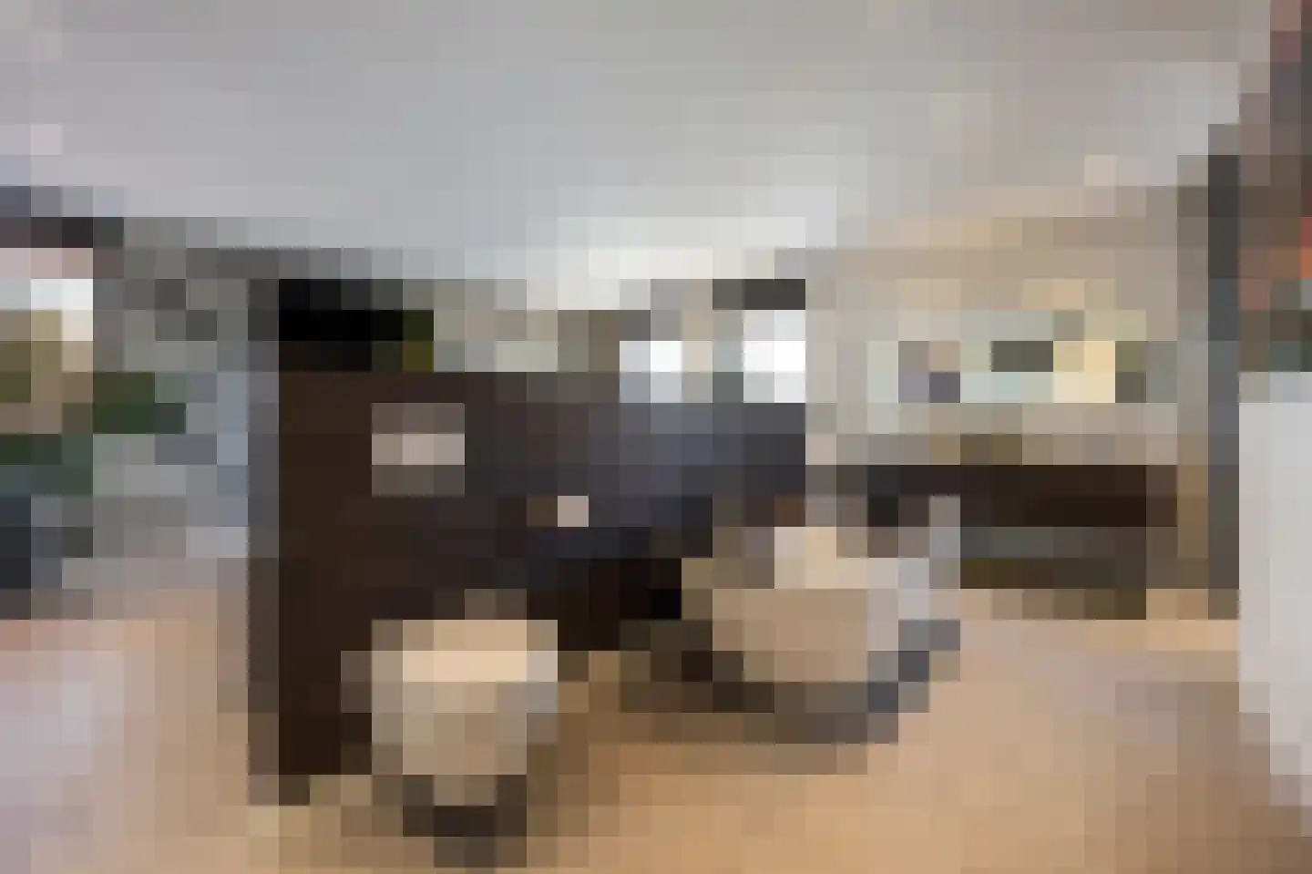 Wijnstraat 10 J Echt thumbnail 39
