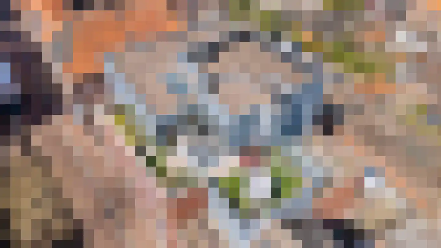 Wijnstraat 10 J Echt thumbnail 54