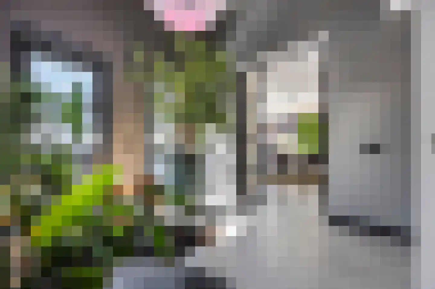 Wijnstraat 10 J Echt thumbnail 9