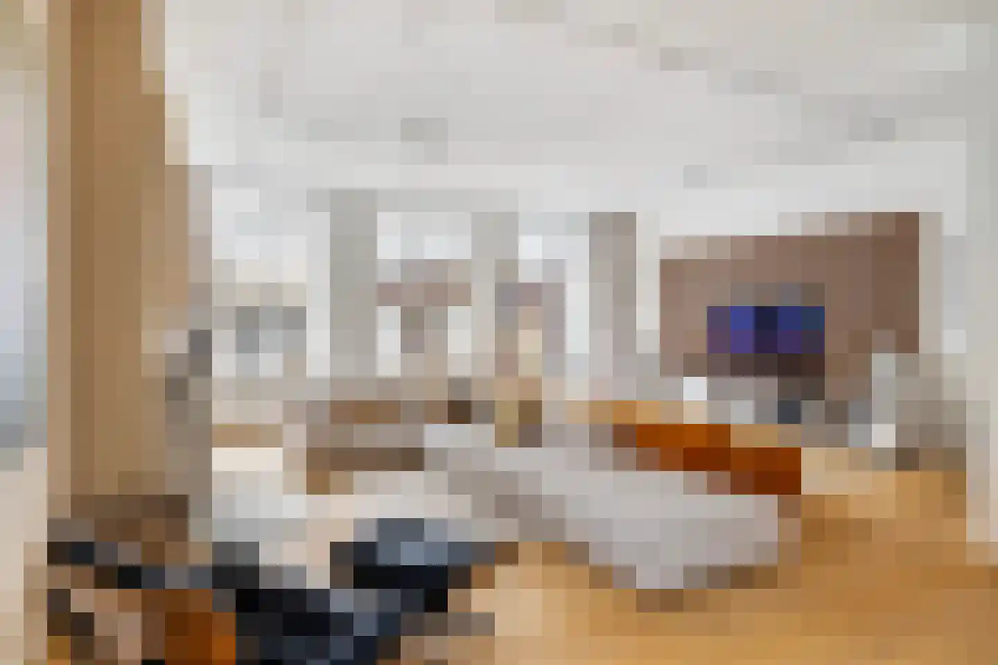 Wijnstraat 103 Dordrecht thumbnail 17