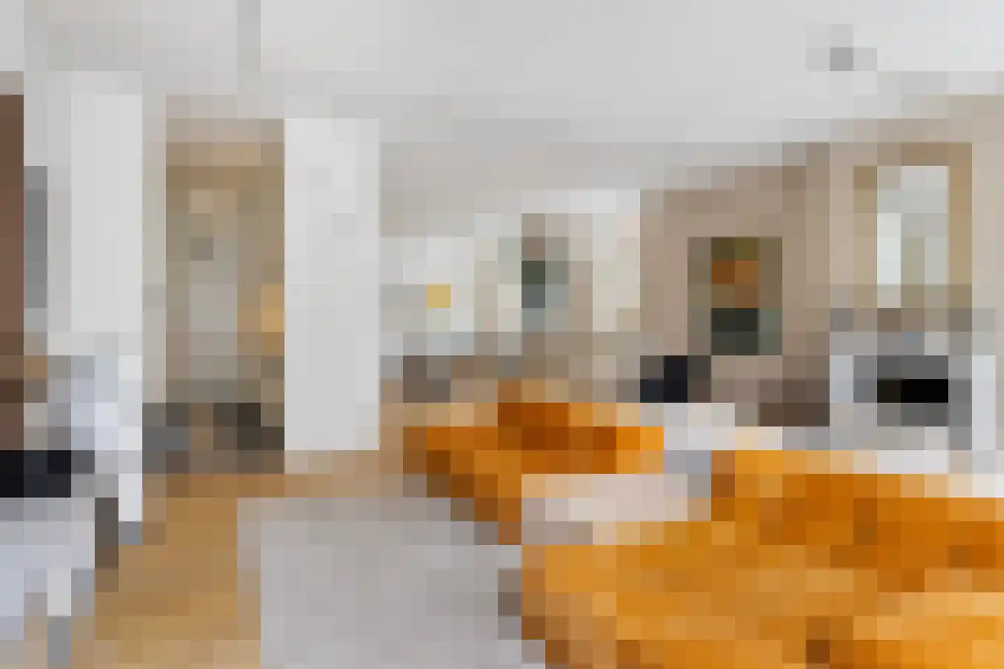 Wijnstraat 103 Dordrecht thumbnail 31