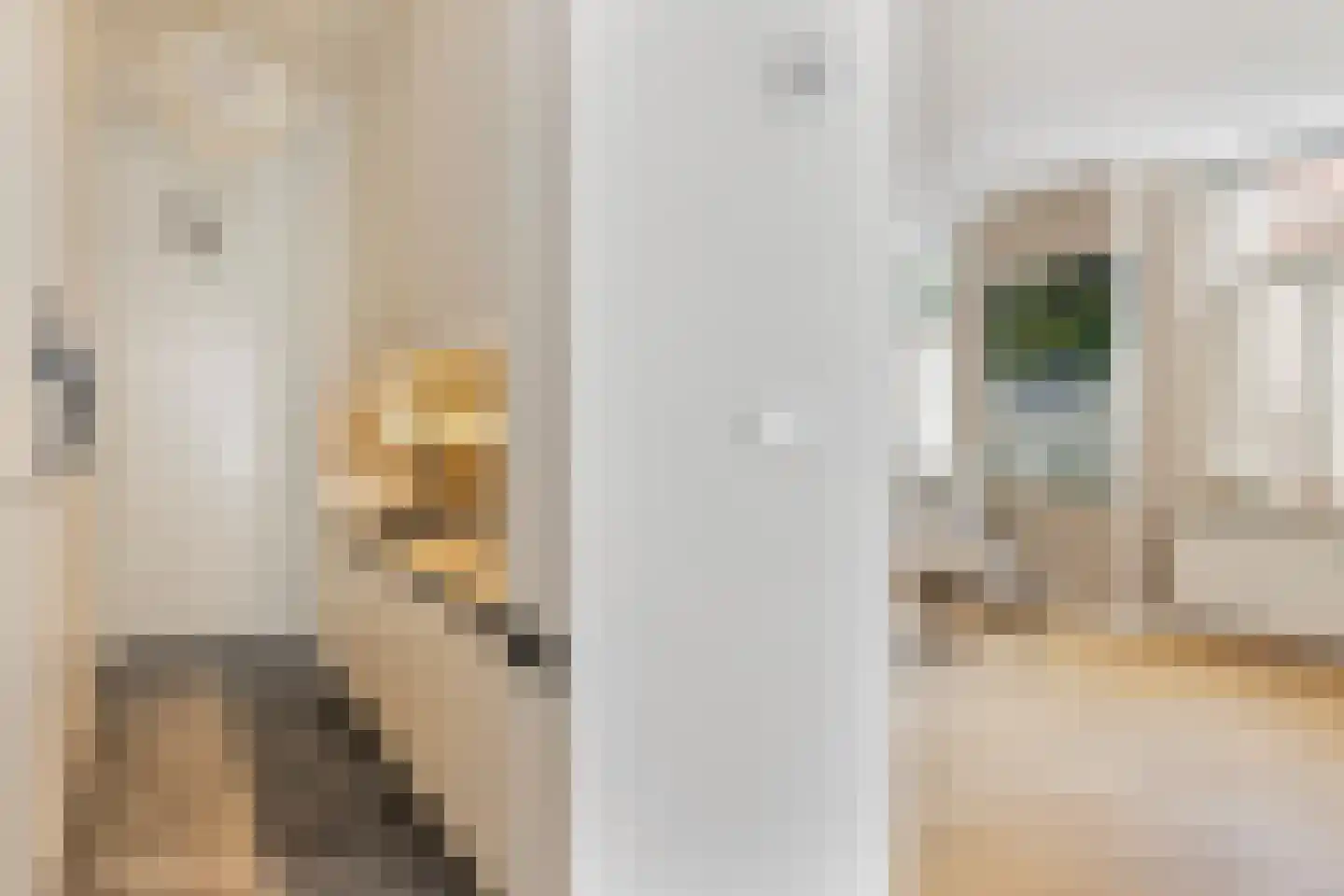 Wijnstraat 103 Dordrecht thumbnail 43