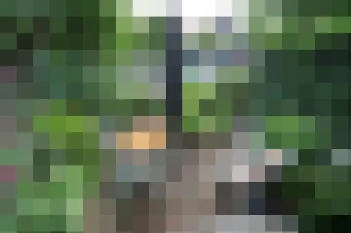 Wijnstraat 104 Dordrecht thumbnail 4