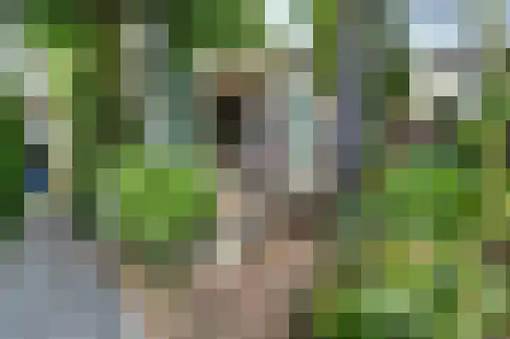 Wijnstraat 104 Dordrecht thumbnail 45