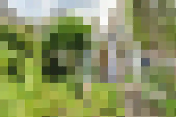 Wijnstraat 104 Dordrecht thumbnail 47