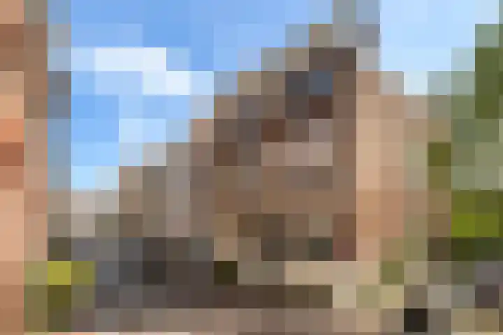 Wijnstraat 120 in Dordrecht