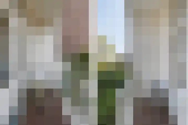 Wijnstraat 120 Dordrecht thumbnail 44