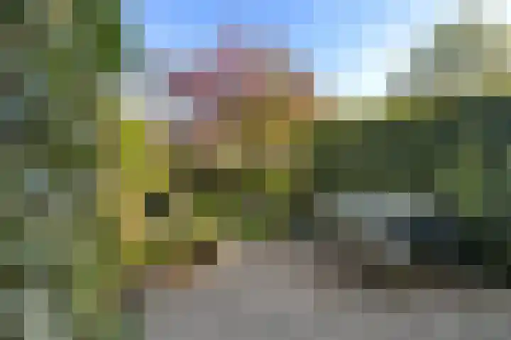 Wijnstraat 120 Dordrecht thumbnail 45