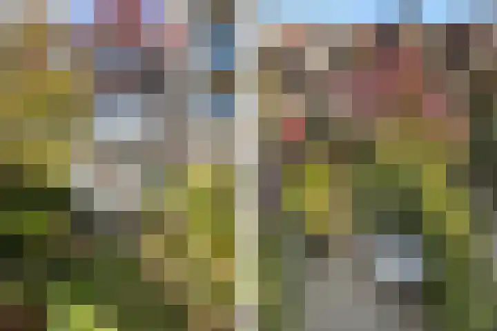 Wijnstraat 120 Dordrecht thumbnail 51