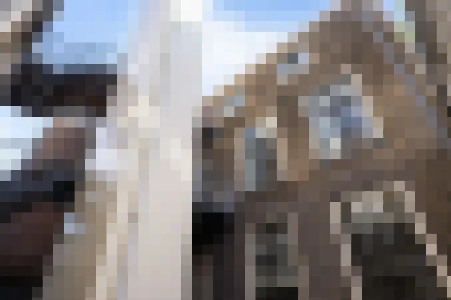 Wijnstraat 131 Dordrecht thumbnail 32