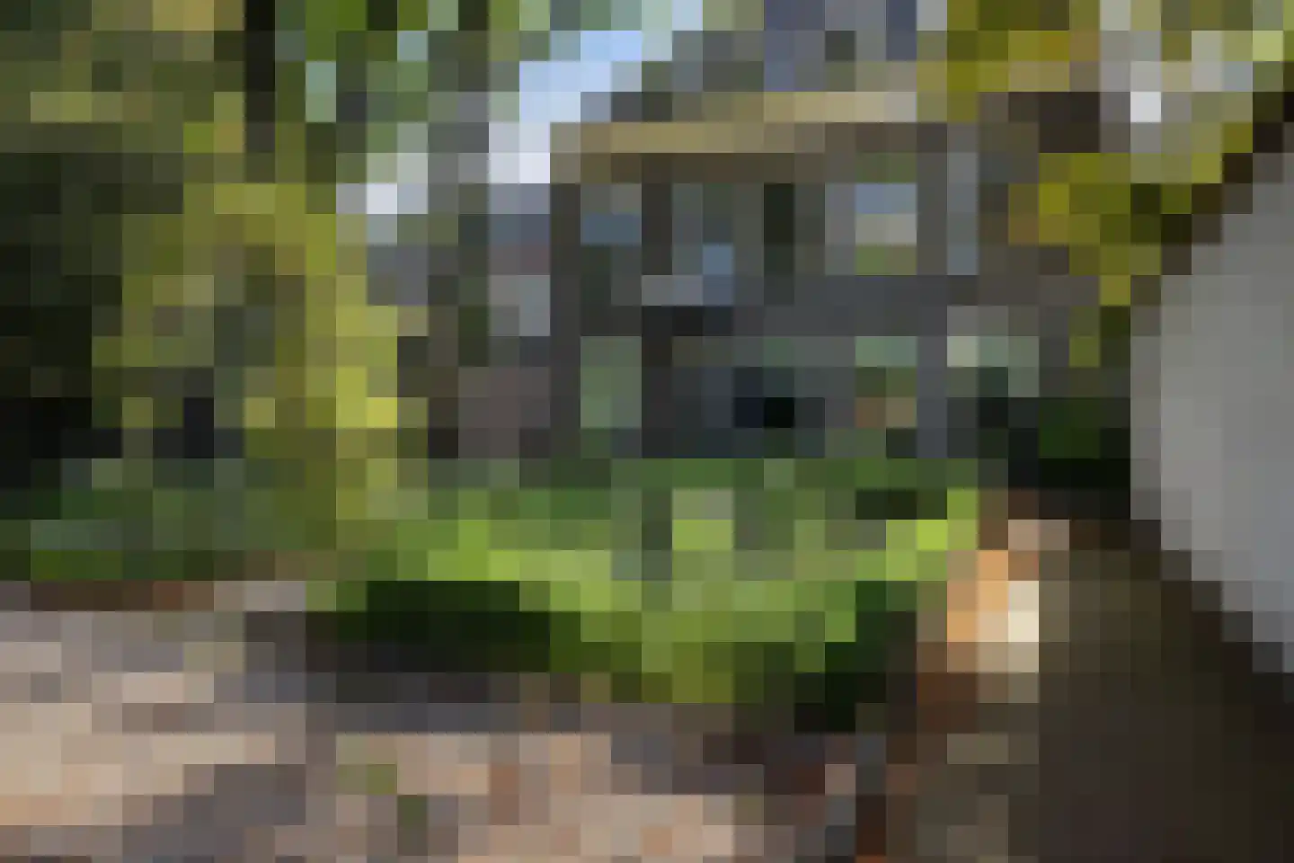 Wijnstraat 131 Dordrecht thumbnail 33