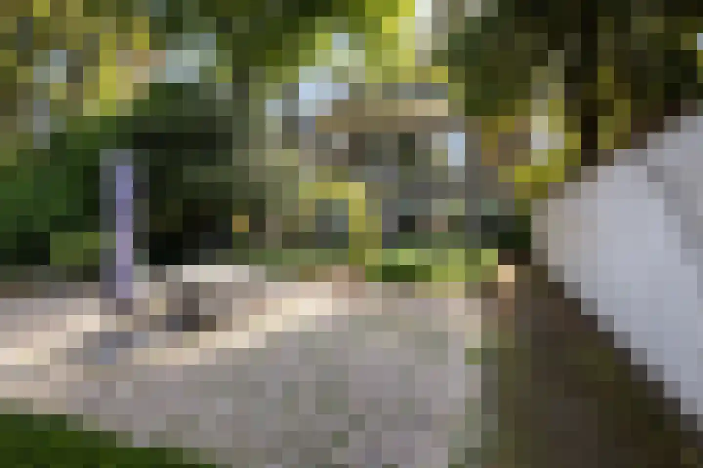Wijnstraat 131 Dordrecht thumbnail 35
