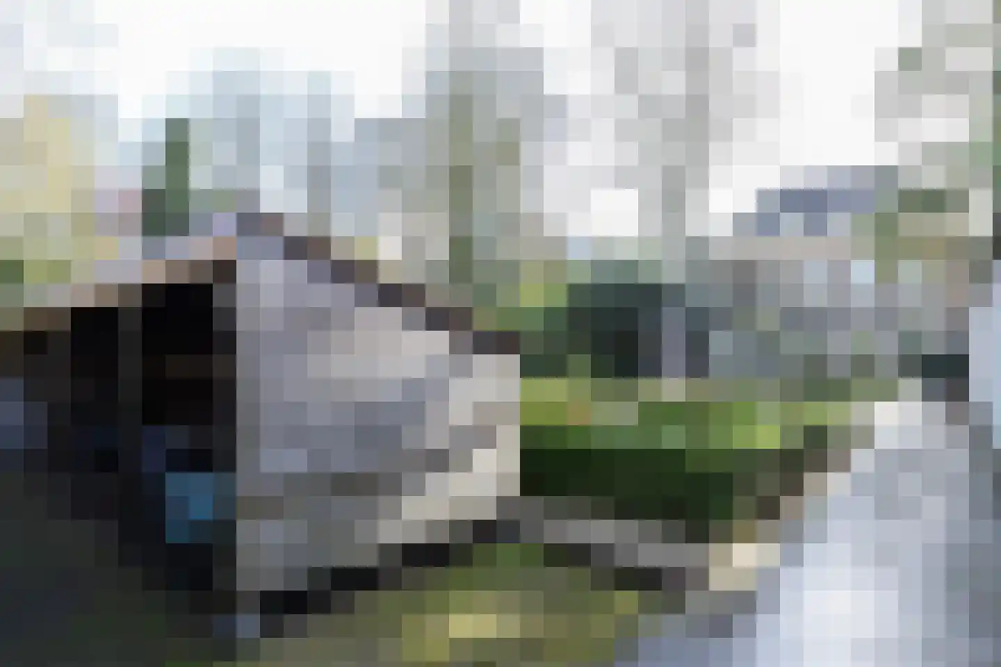 Wijnstraat 131 Dordrecht thumbnail 40