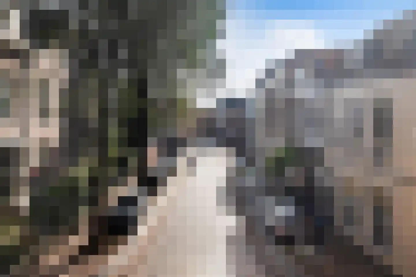 Wijnstraat 131 Dordrecht thumbnail 42