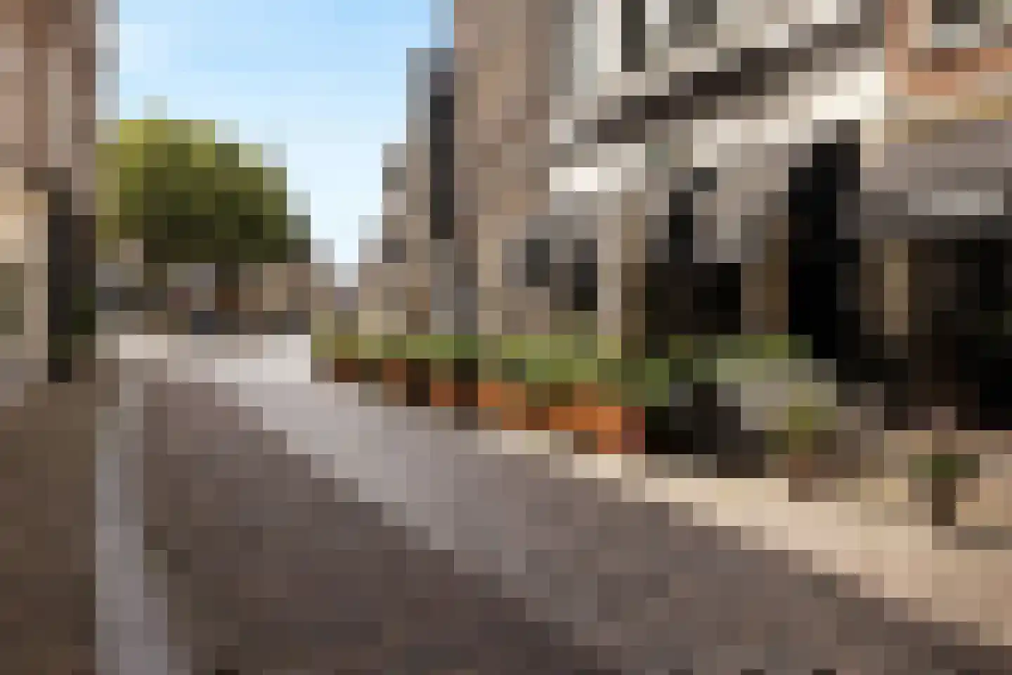 Wijnstraat 150 Dordrecht thumbnail 38