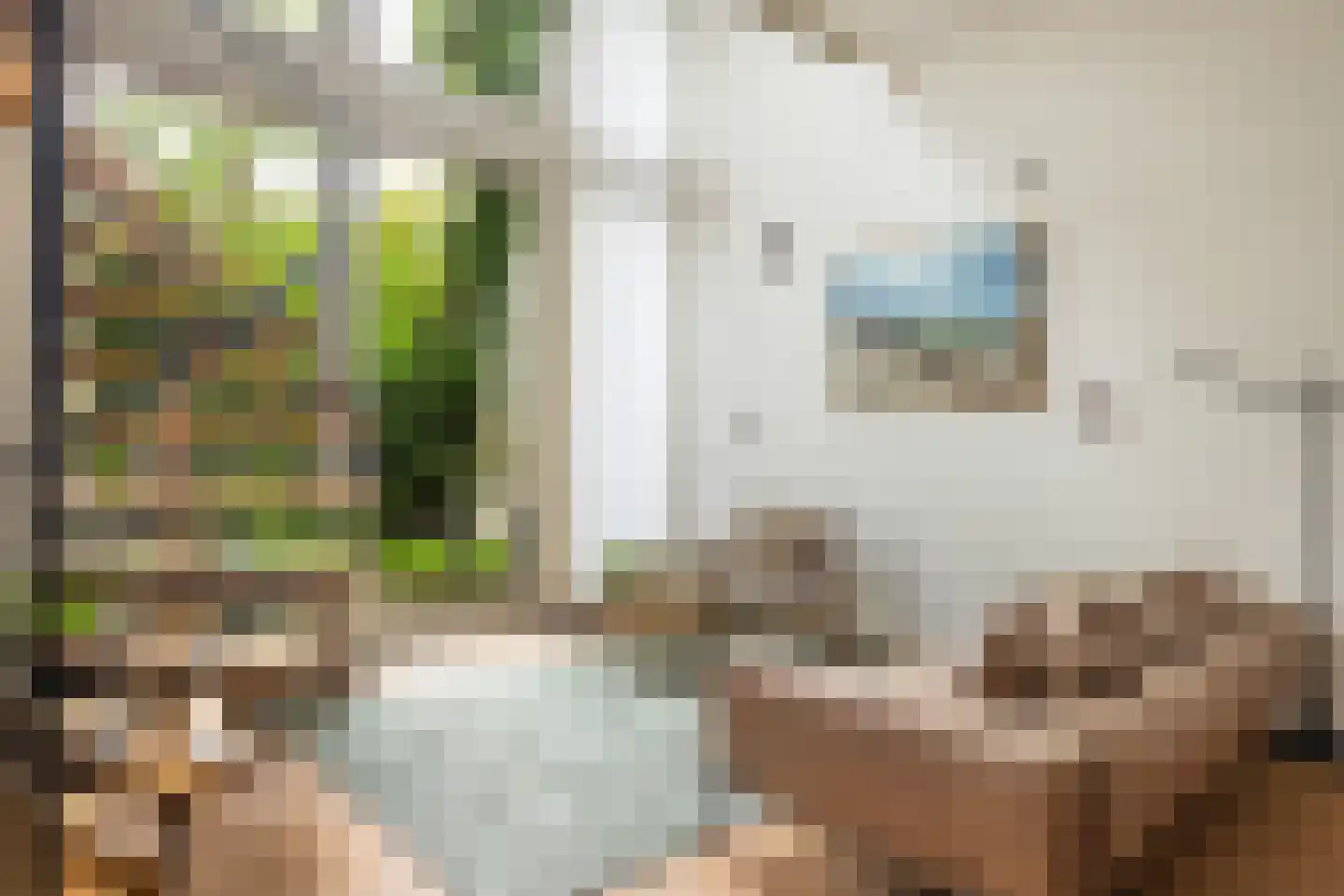 Wijnstraat 150 Dordrecht thumbnail 9