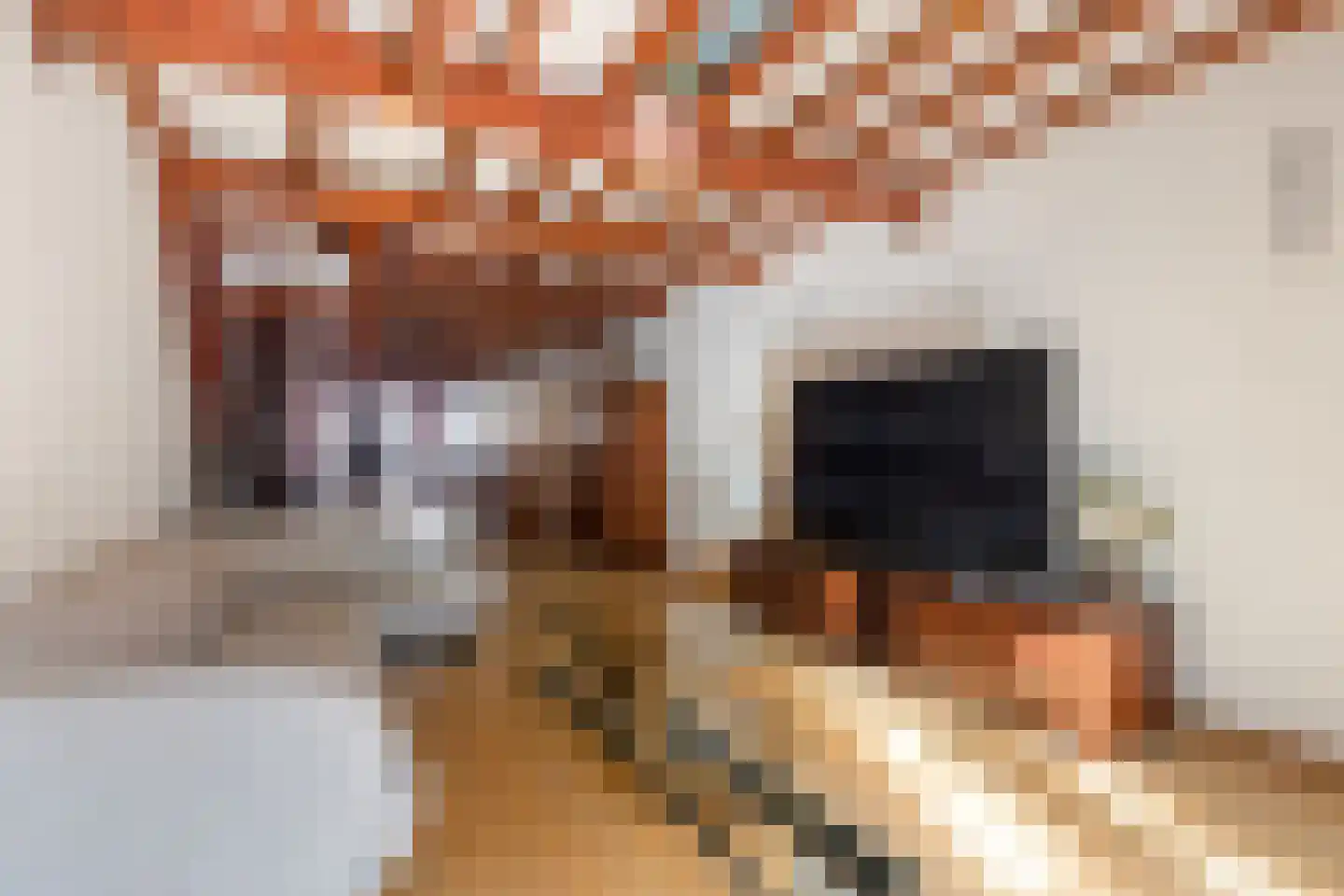 Wijnstraat 174 Dordrecht thumbnail 32