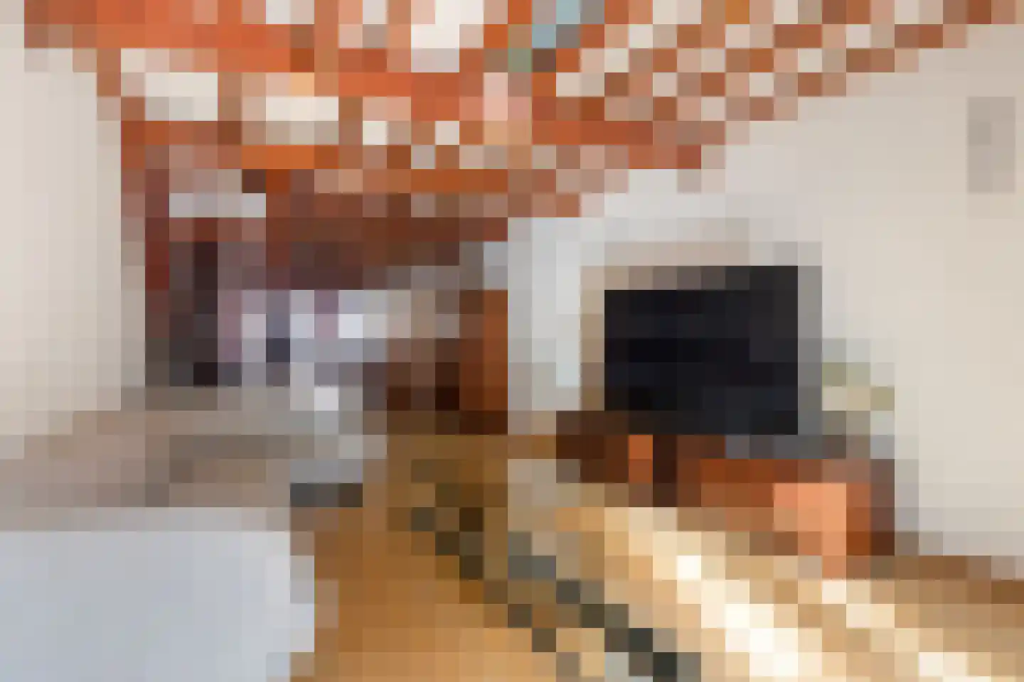 Wijnstraat 174 Dordrecht thumbnail 32