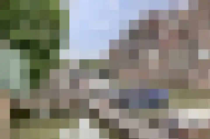Wijnstraat 195 Dordrecht thumbnail 33