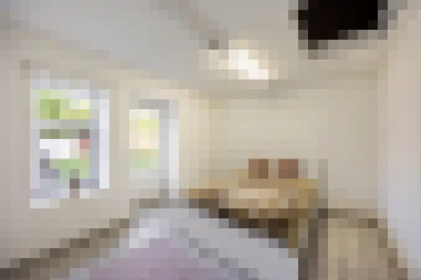 Wijnstraat 2 Susteren thumbnail 36