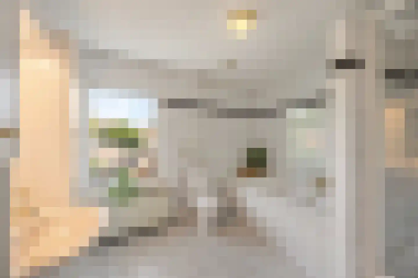 Wijnstraat 2 Susteren thumbnail 40