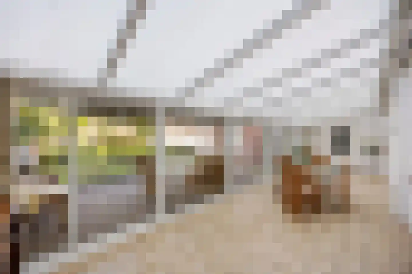 Wijnstraat 2 Susteren thumbnail 5