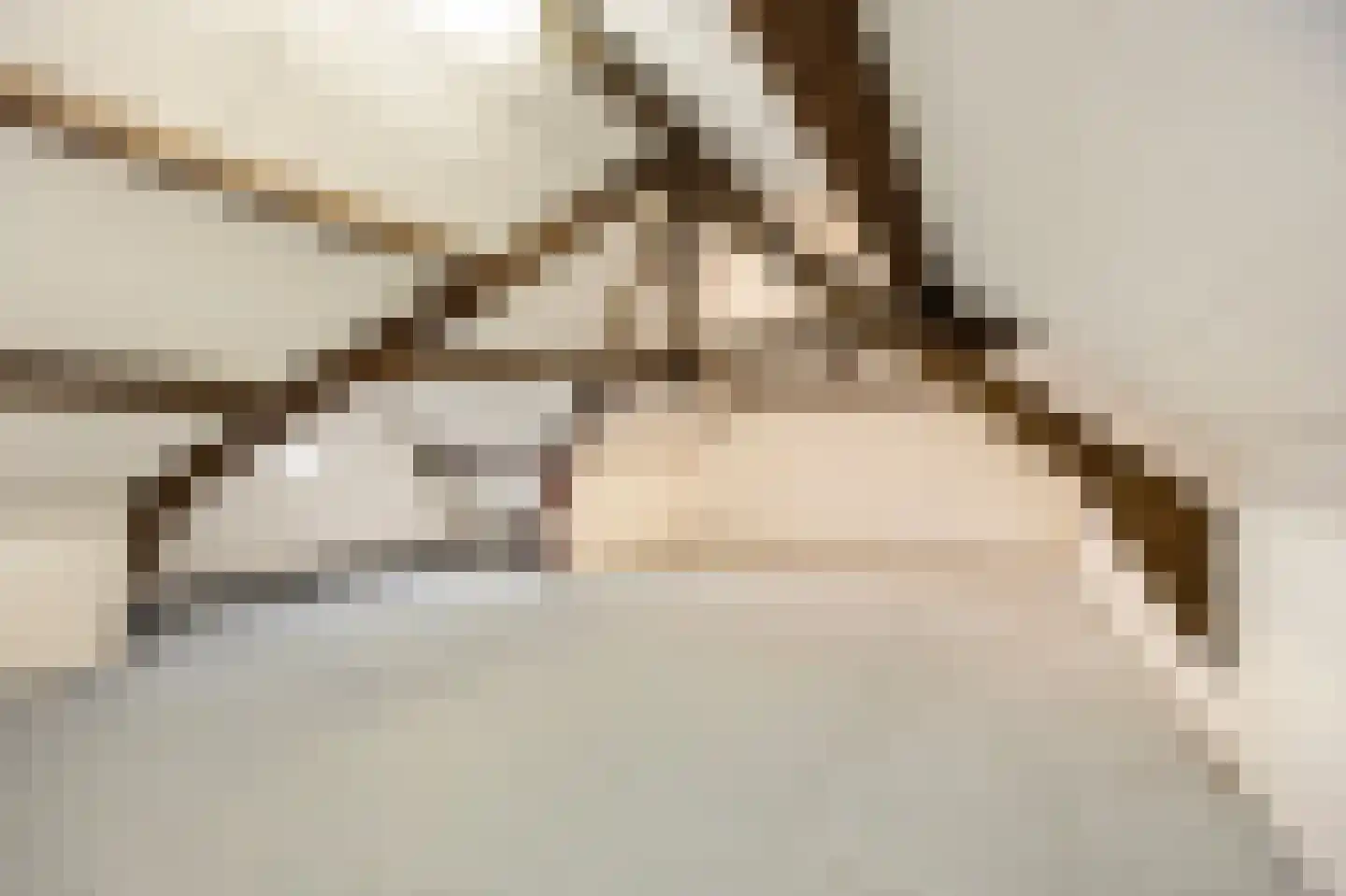 Wijnstraat 2 Susteren thumbnail 62