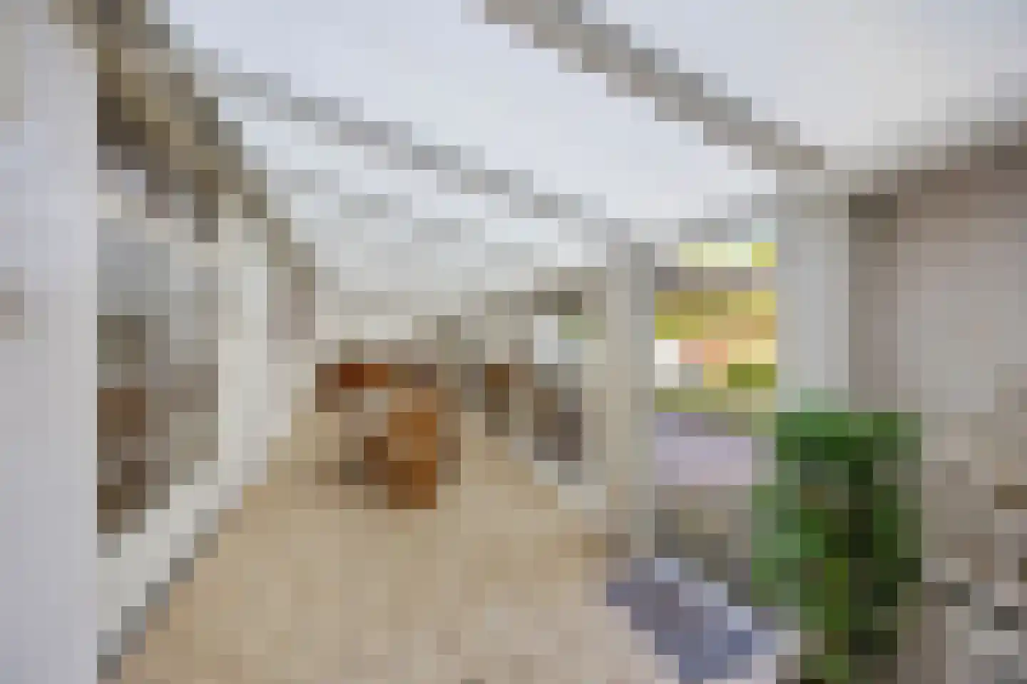 Wijnstraat 2 Susteren thumbnail 68