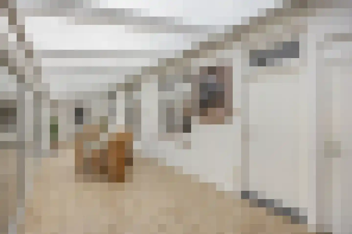 Wijnstraat 2 Susteren thumbnail 69