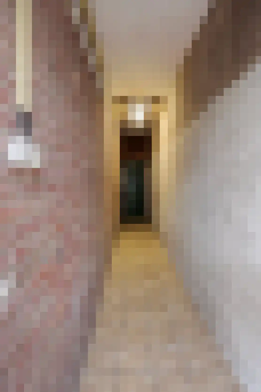 Wijnstraat 2 Susteren thumbnail 71