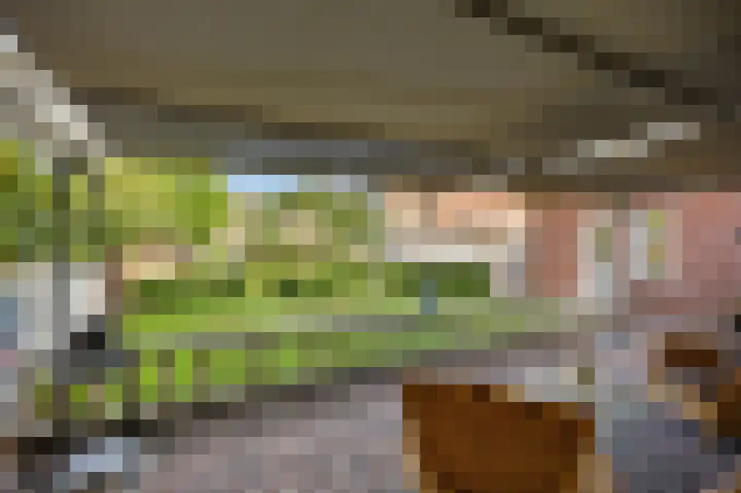 Wijnstraat 2 Susteren thumbnail 72