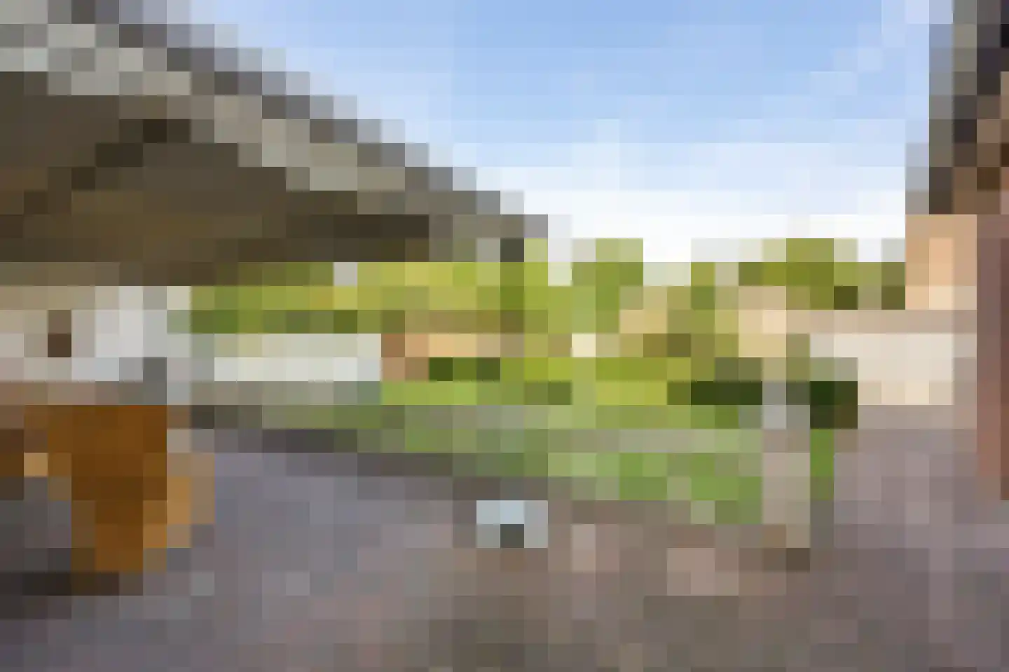 Wijnstraat 2 Susteren thumbnail 74