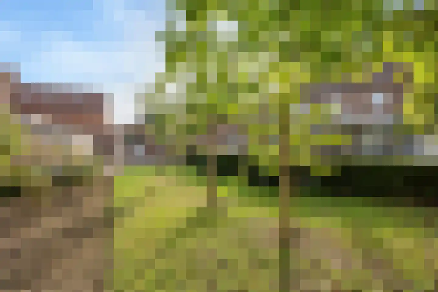 Wijnstraat 2 Susteren thumbnail 76