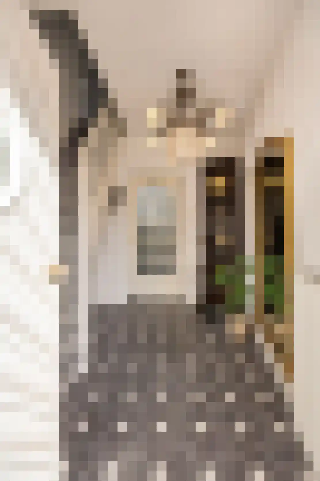 Wijnstraat 2 Susteren thumbnail 8