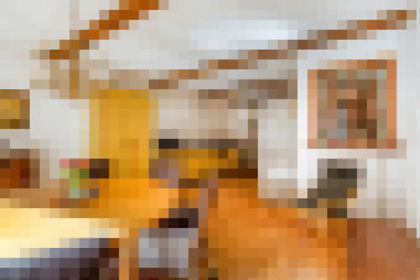 Wijnstraat 223 Dordrecht thumbnail 8