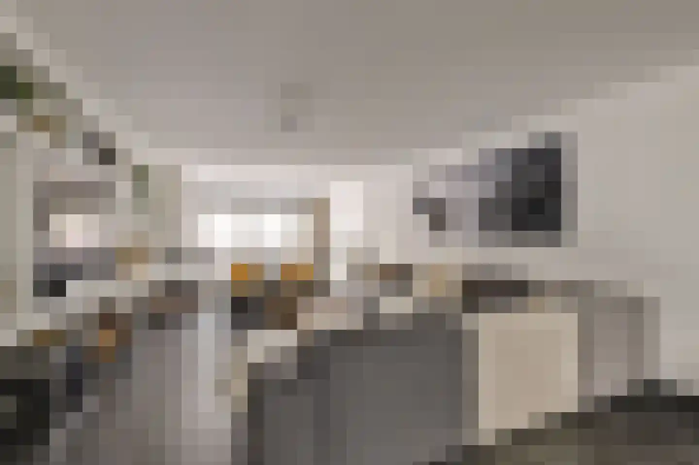 Wijnstraat 24 Dordrecht thumbnail 34