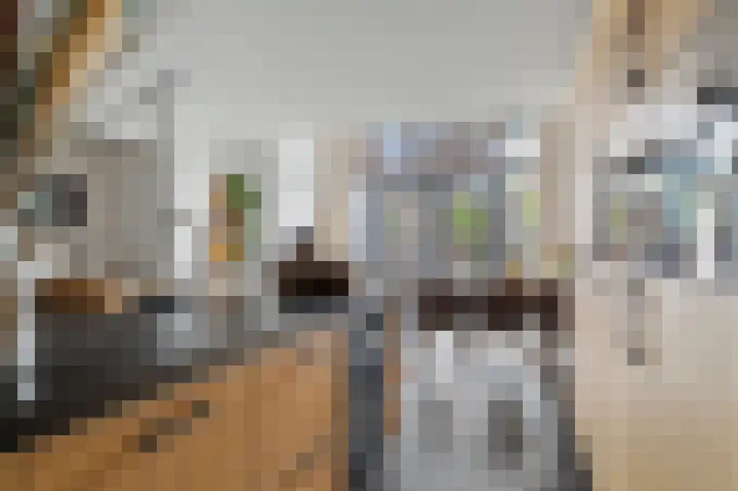 Wijnstraat 24 Dordrecht thumbnail 4