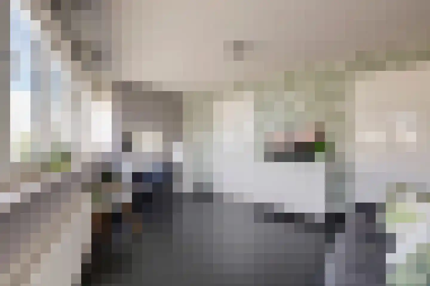 Wijnstraat 24 Dordrecht thumbnail 69