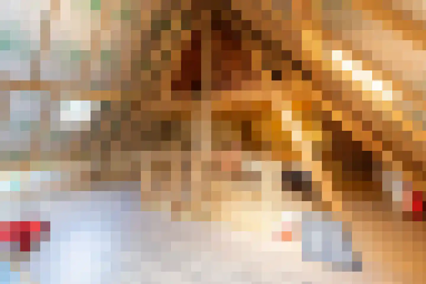 Wijnstraat 25 Simpelveld thumbnail 26