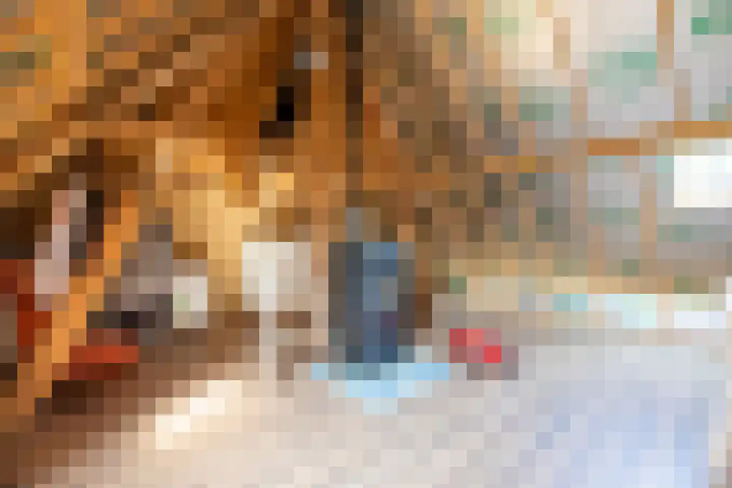 Wijnstraat 25 Simpelveld thumbnail 28