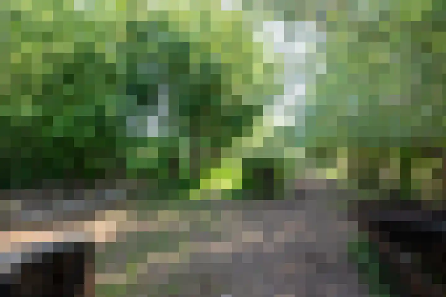Wijnstraat 25 Simpelveld thumbnail 45