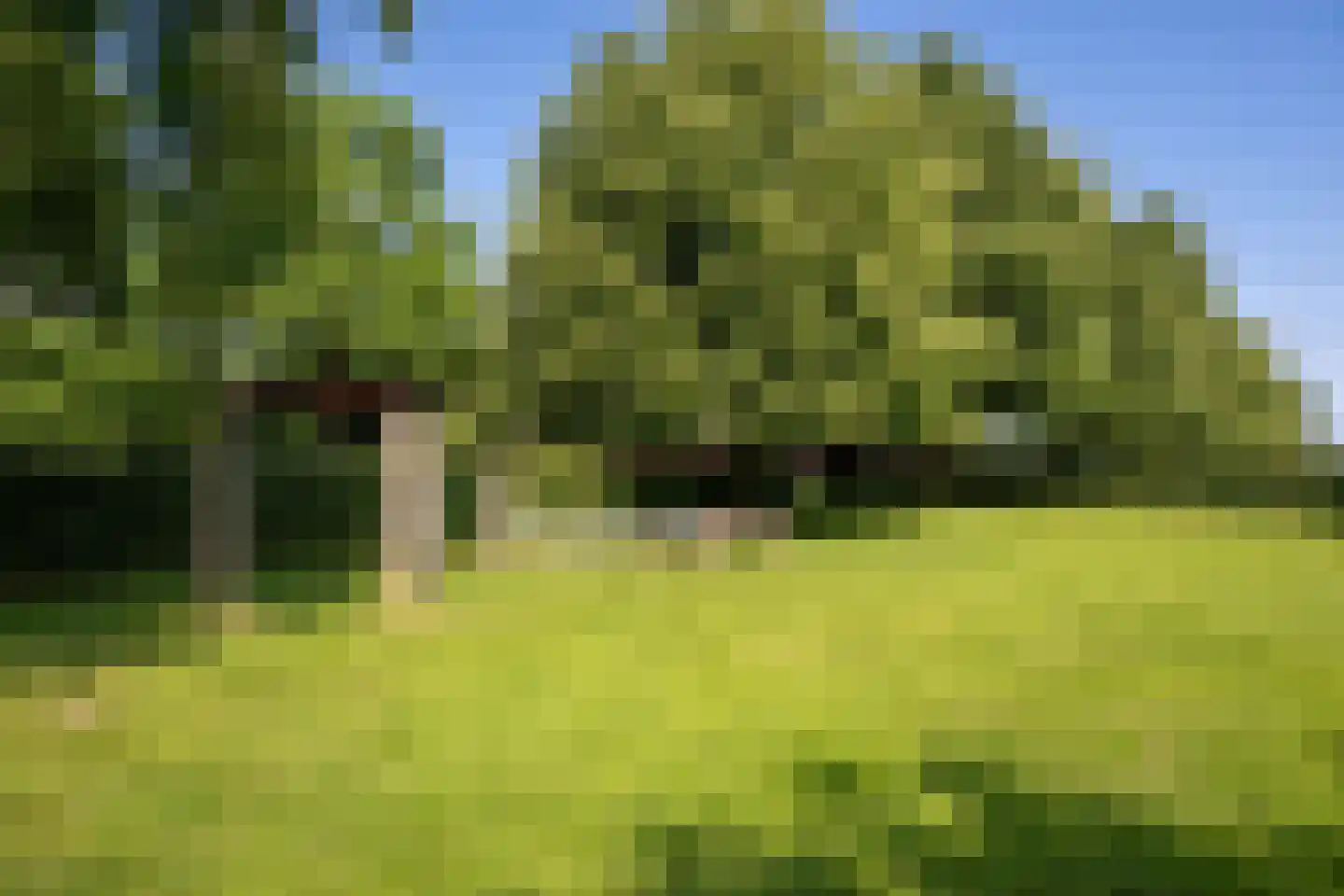 Wijnstraat 25 Simpelveld thumbnail 46