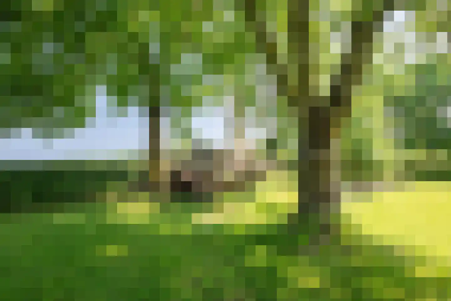 Wijnstraat 25 Simpelveld thumbnail 48