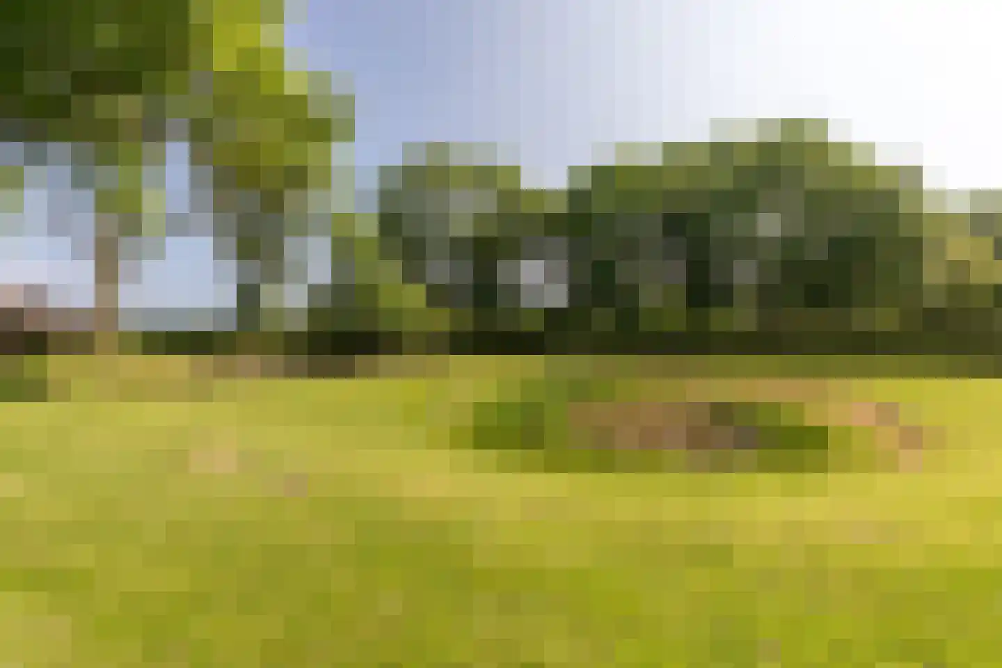 Wijnstraat 25 Simpelveld thumbnail 49