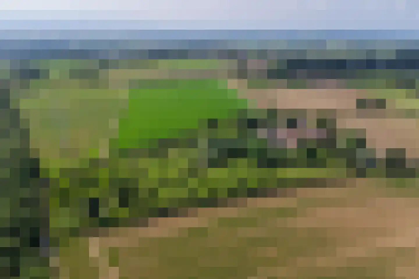 Wijnstraat 25 Simpelveld thumbnail 55