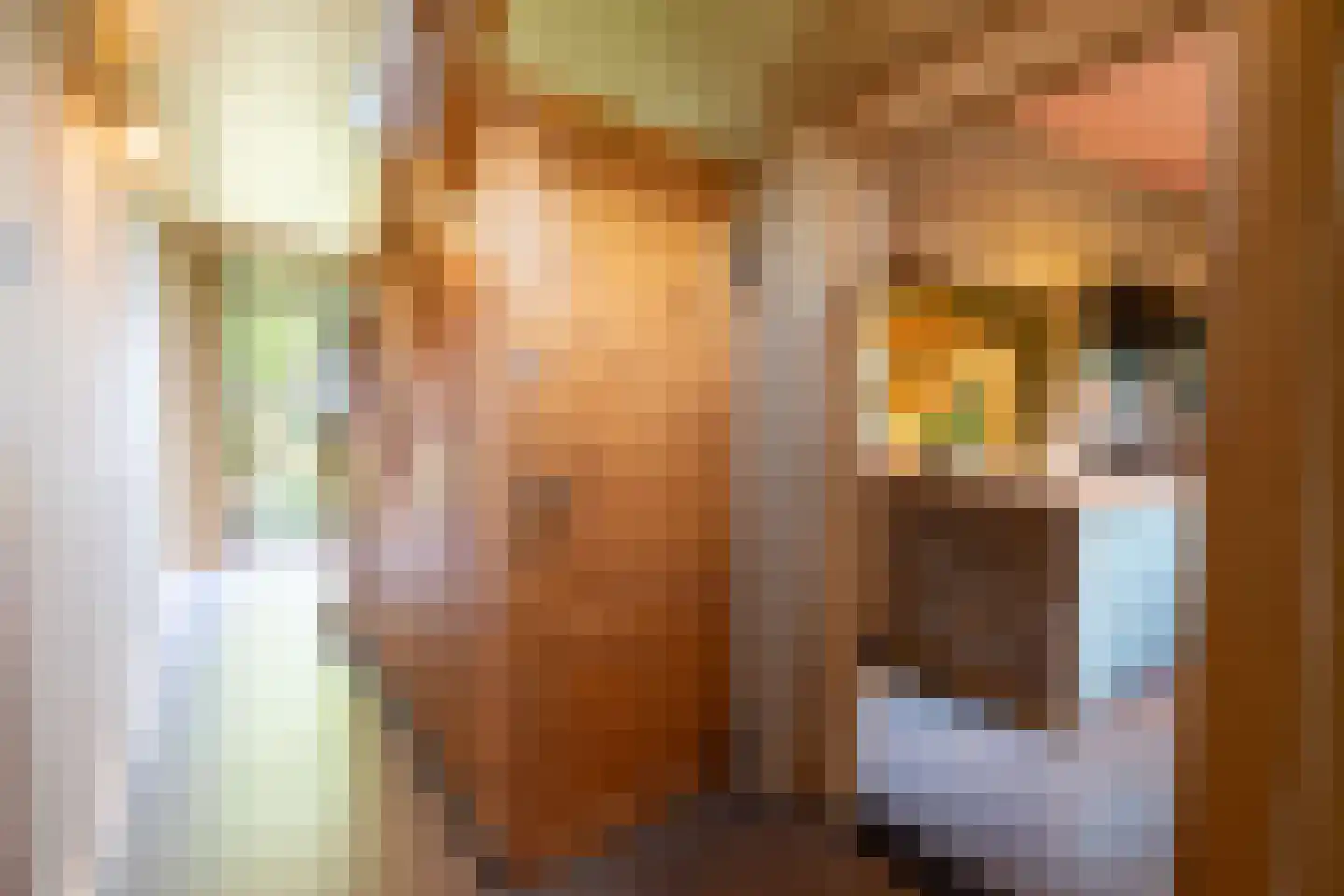 Wijnstraat 25 Simpelveld thumbnail 7