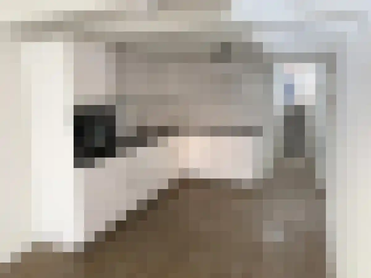 Wijnstraat 36 Dordrecht thumbnail 4