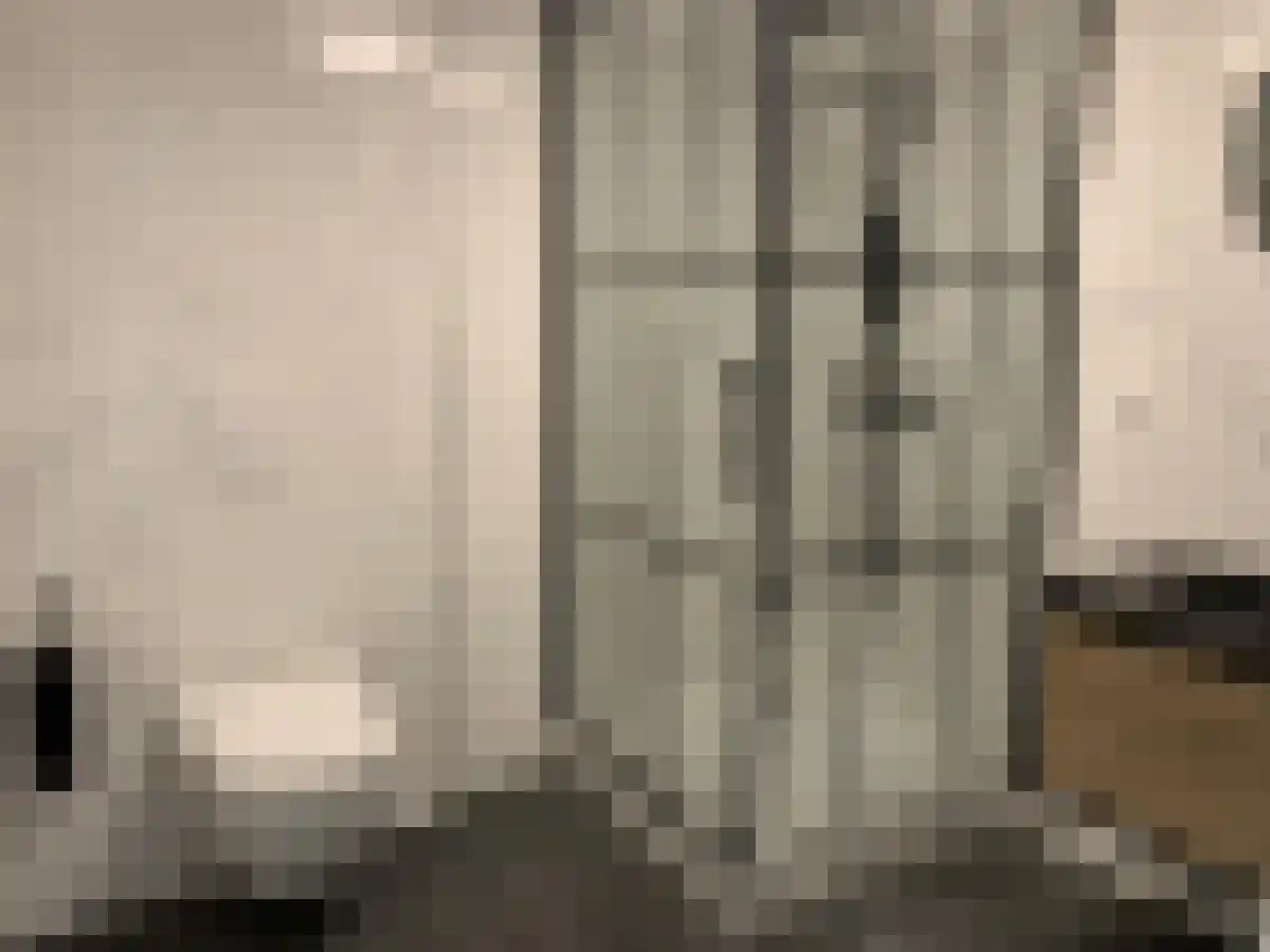 Wijnstraat 36 Dordrecht thumbnail 6